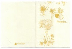 Front and back of item