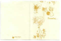 Front and back of item